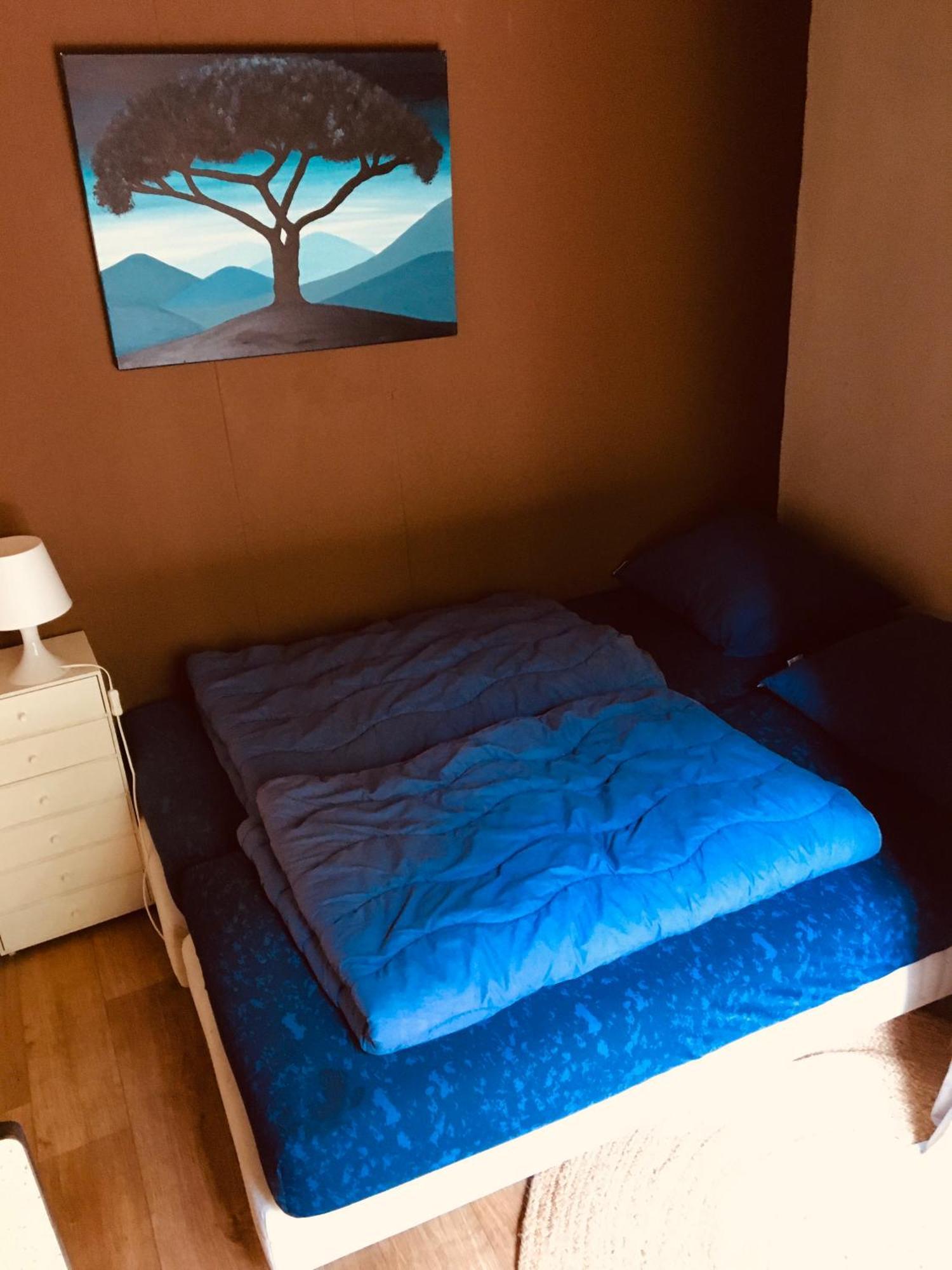 Basic Lodge In Nature Schagerbrug المظهر الخارجي الصورة